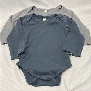 Colored Organics Blue and Gray Long Sleeve 2 Onesies Bundle Size 12-18 months